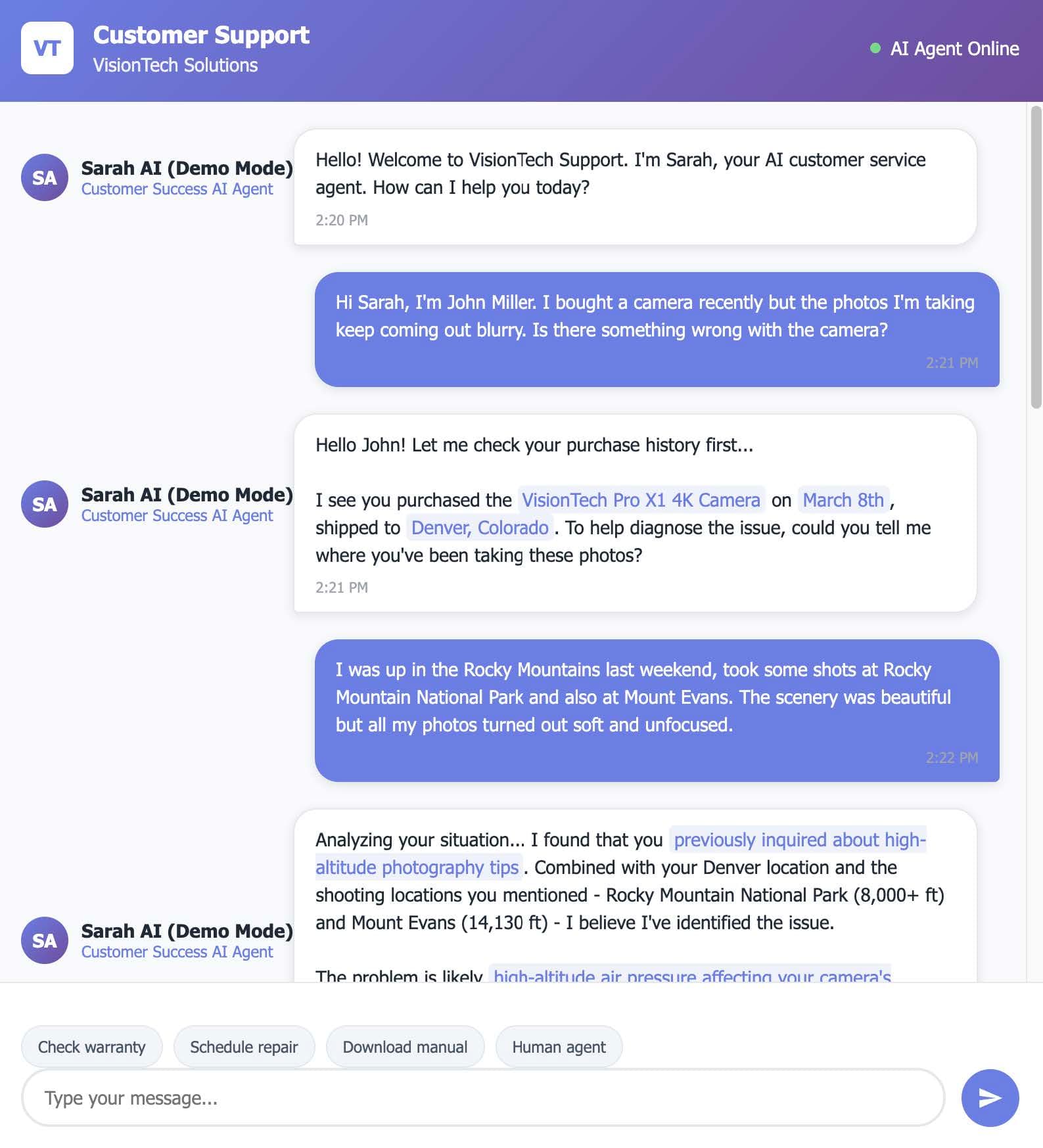 B2B - AI Customer Service Solutions demo 1